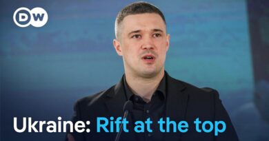 Why remove the architect of Ukraine’s battlefield success? | DW News