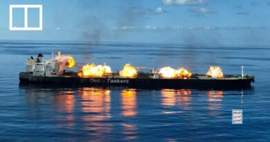 Why the vital Red Sea shipping lane is under threat