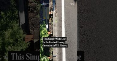 Why This Simple White Line Has Saved So Many Lives