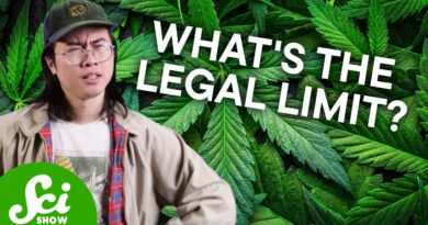 Why We Can’t Find a Legal Limit for Weed