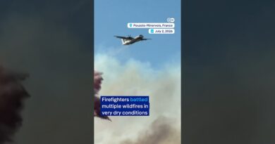 Wildfires rage along France’s Mediterranean coast | DW News