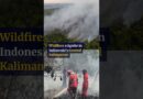 Wildfires reignite in Indonesia’s Central Kalimantan