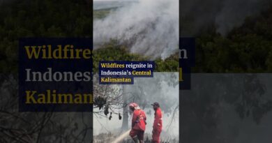 Wildfires reignite in Indonesia’s Central Kalimantan