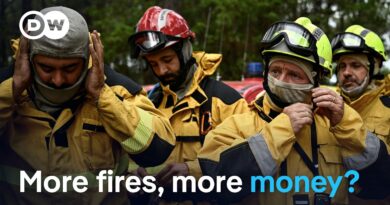 Wildfires spark calls for more EU funds | DW news