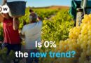 Will non-alcoholic wine save the winemakers? | DW Documentary