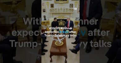 Witkoff, Kushner expected in Kyiv after Trump-Zelensky talks | DW News