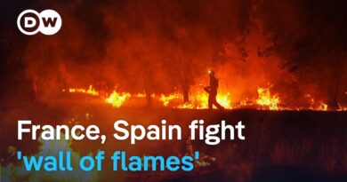 Witnesses describe ‘wall of flames’ as wildfires rage on in France and Spain | DW News