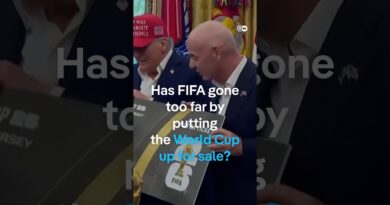 World Cup for sale – FIFA’s $20B private equity plan | DW News