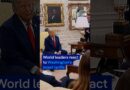 World reacts to Trump’s latest tariffs | DW News
