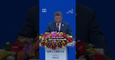 Xi Jinping calls for ‘openness’ in AI development