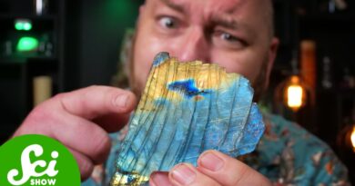 Your Mom’s Necklace Was Made By A Supercontinent