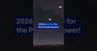 2026 is perfect for the Perseid shower! | DW News