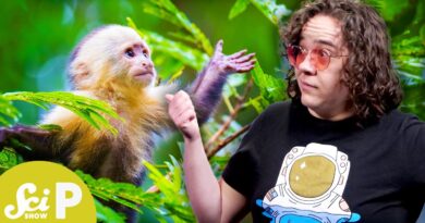 6 Ways Animals Pee Weird