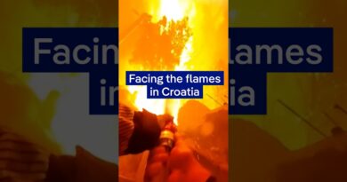 Bodycam footage shows Croatian firefighters on the frontline of deadly wildfire | DW News