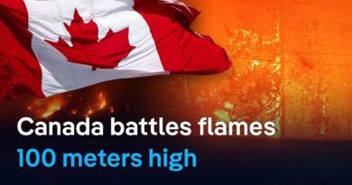 British Columbia struggles to reign in its wildfires | DW News
