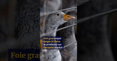 Chinese foie gras producers eye European market