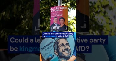 Could a left-conservative party be kingmaker for the AfD? | DW News