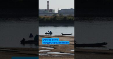 Danube down, Hungary’s power halved | DW News