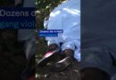 Dozens die in Haiti gang violence | DW News