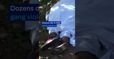 Dozens die in Haiti gang violence | DW News