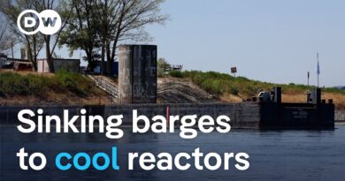 Drought is forcing Hungary to reshape the Danube to keep nuclear power running | DW News