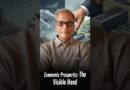 Economic Prosperity: The Visible Hand