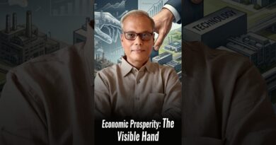 Economic Prosperity: The Visible Hand