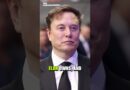 Elon Is Building One Giant Company