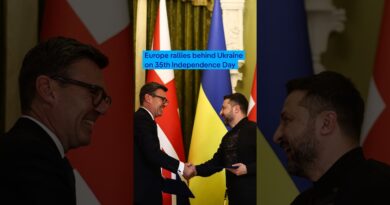 Europe rallies behind Ukraine on the country’s 35th Independence Day | DW News
