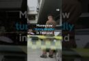 Ex-Thai MP fatally shoots local official over money row | DW News