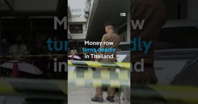 Ex-Thai MP fatally shoots local official over money row | DW News