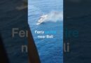 Ferry catches fire near Bali | DW News