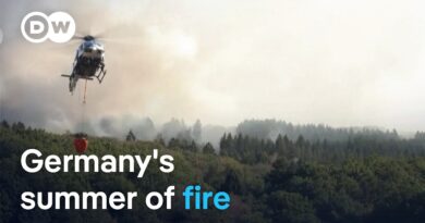 Fighting Germany’s wildfires complicated by unexploded WWII munitions | DW News