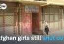 Five years after the Taliban’s return, Afghan women see no end to restrictions | DW News