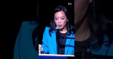 Francesca Hong Narrowly Loses in Wisconsin as Left-Wing Surge Stalls