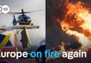 From Germany to the Mediterranean: How can fires be prevented? | DW News