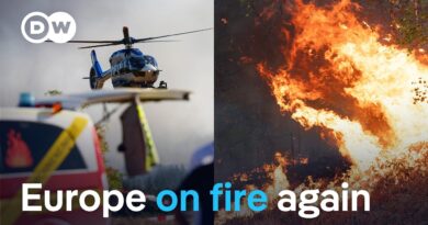 From Germany to the Mediterranean: How can fires be prevented? | DW News