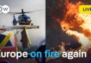 From Germany to the Mediterranean: How can fires be prevented? | DW News