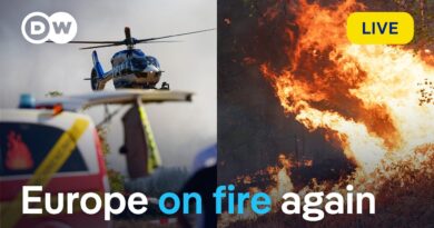 From Germany to the Mediterranean: How can fires be prevented? | DW News