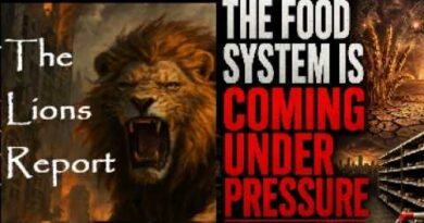 From Oil Field to Your Kitchen… ENERGY CRISIS INTO A FOOD CRISIS. Mannarino