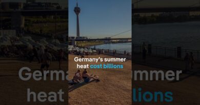 Germany’s hot summer cost the country billions | DW News
