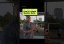 Google’s Pixel 11 line up comes with Magic Capture