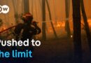 Greek firefighters struggle to save coastal resort | DW News