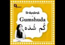 Gumshuda: When What’s Lost Isn’t Just a Person