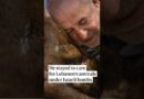 He stayed to care for Lebanon’s animals under Israeli bombs