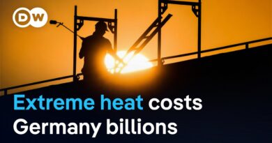 How 25 days of extreme heat disrupted Germany’s economy | DW News