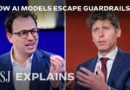 How OpenAI and Anthropic’s AI Models Go Rogue | WSJ