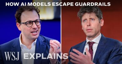 How OpenAI and Anthropic’s AI Models Go Rogue | WSJ