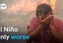 How ‘Super El Niño’ helps bake the planet | DW News