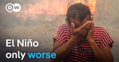 How ‘Super El Niño’ helps bake the planet | DW News